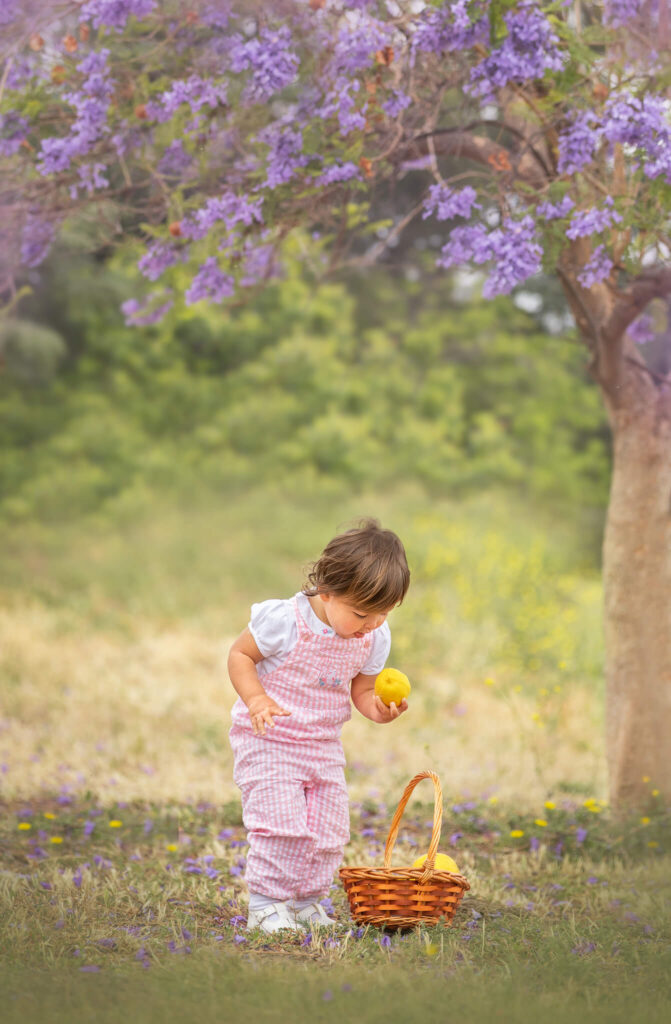 Toddler under a purple tree with a basket of lemons in Los Angeles