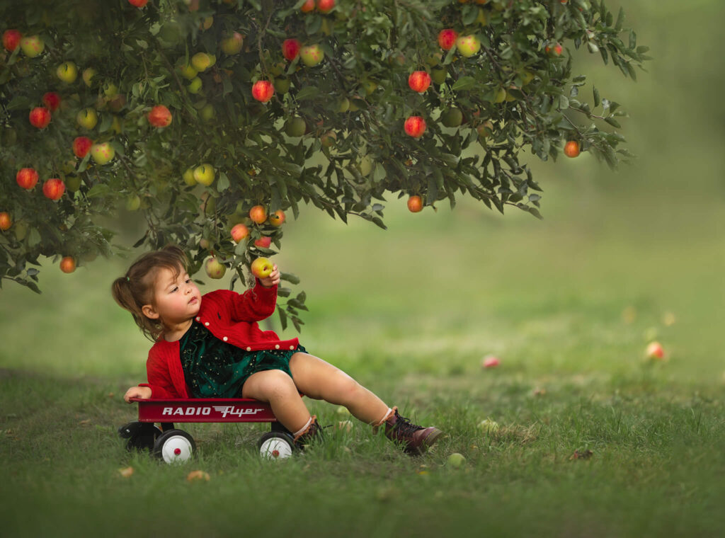 Little girl apple picking wearing a green romper and ralph lauren cardigan photographed by LA photographer 5 best baby stores in Los Angeles
