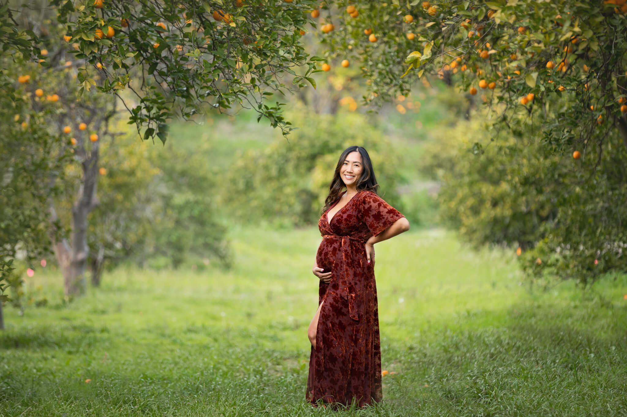 Mother to be holding baby bump in a beautiful garden of orange trees wearing a burnt orange dress - A Mother's Haven Encino