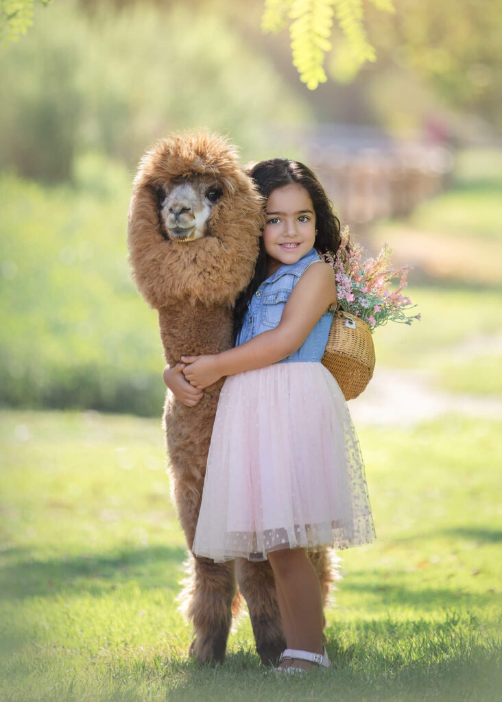 Little girl with flowers on her back and hugging Fable the alpaca in LA photoshoot - Underwood Farms