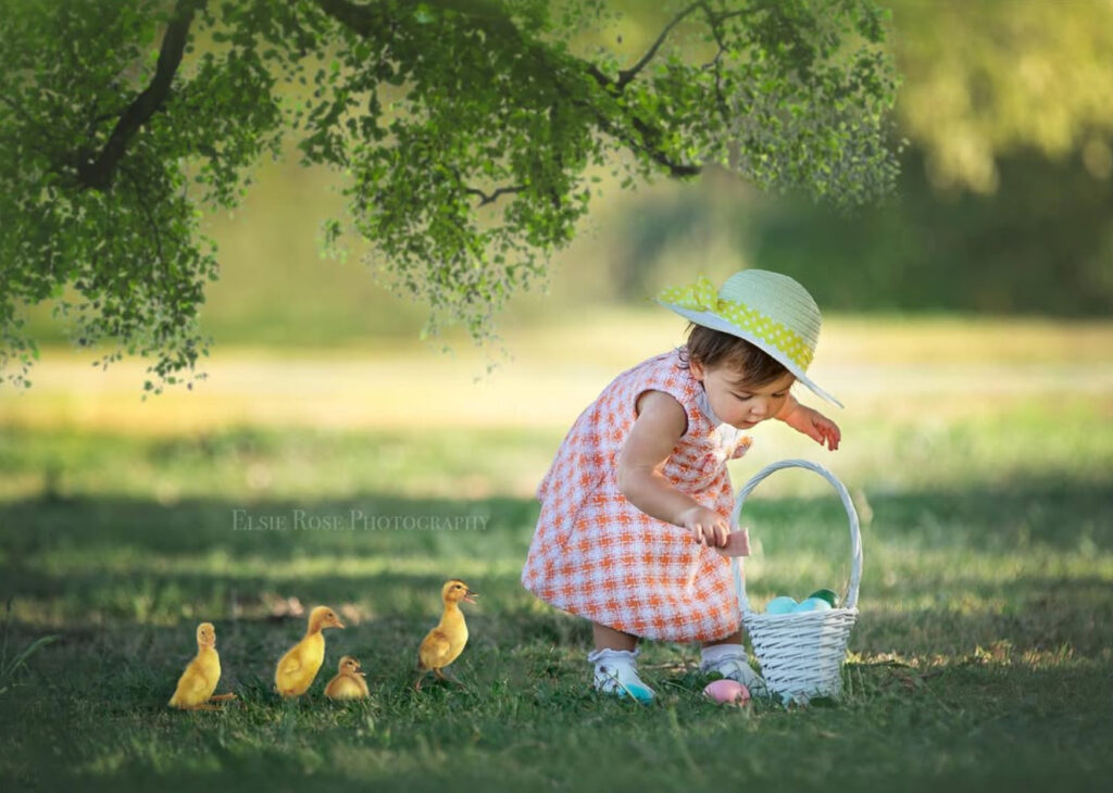 Little girl collecting flowers at Easter with little yellow chicks following her. Gilchrist Farm.